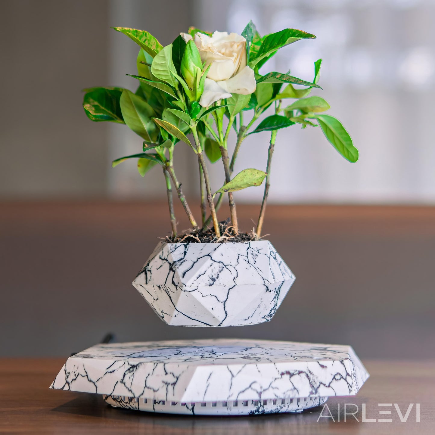 AirLevi™ Hexagon Base Flying Bowl Marble