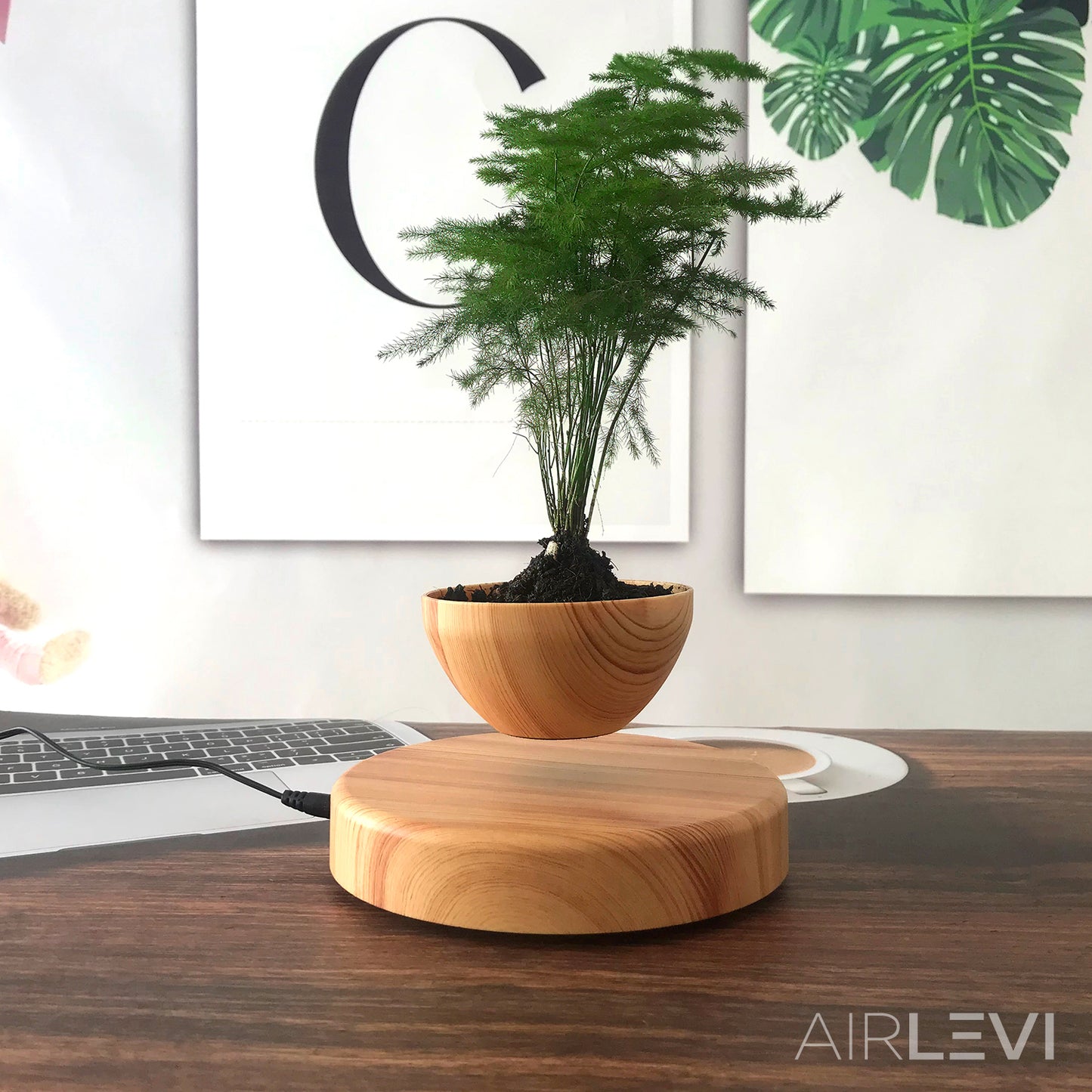 AirLevi™ Round Base Flying Wood