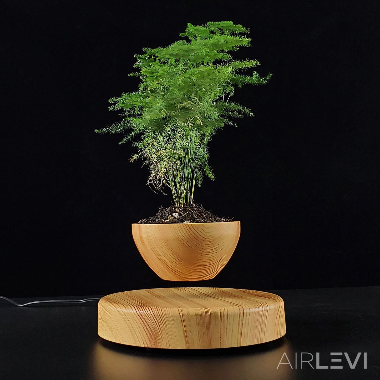 AirLevi™ Round Base Flying Wood