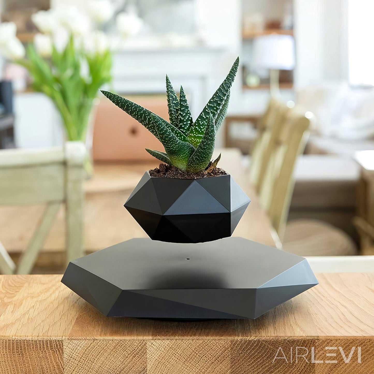 AirLevi™ Hexagon Base Flying Bowl Black