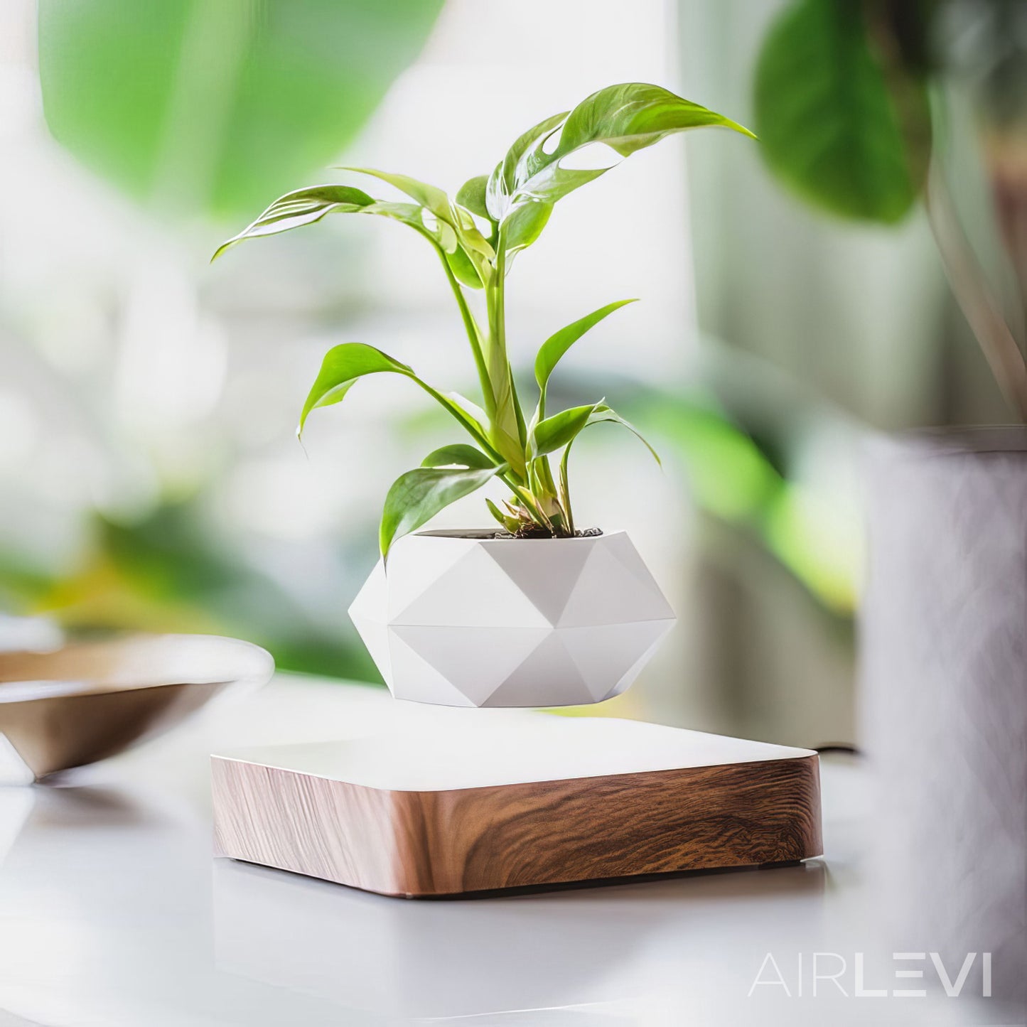 AirLevi™ Square Base Flying Bowl Dark Wood