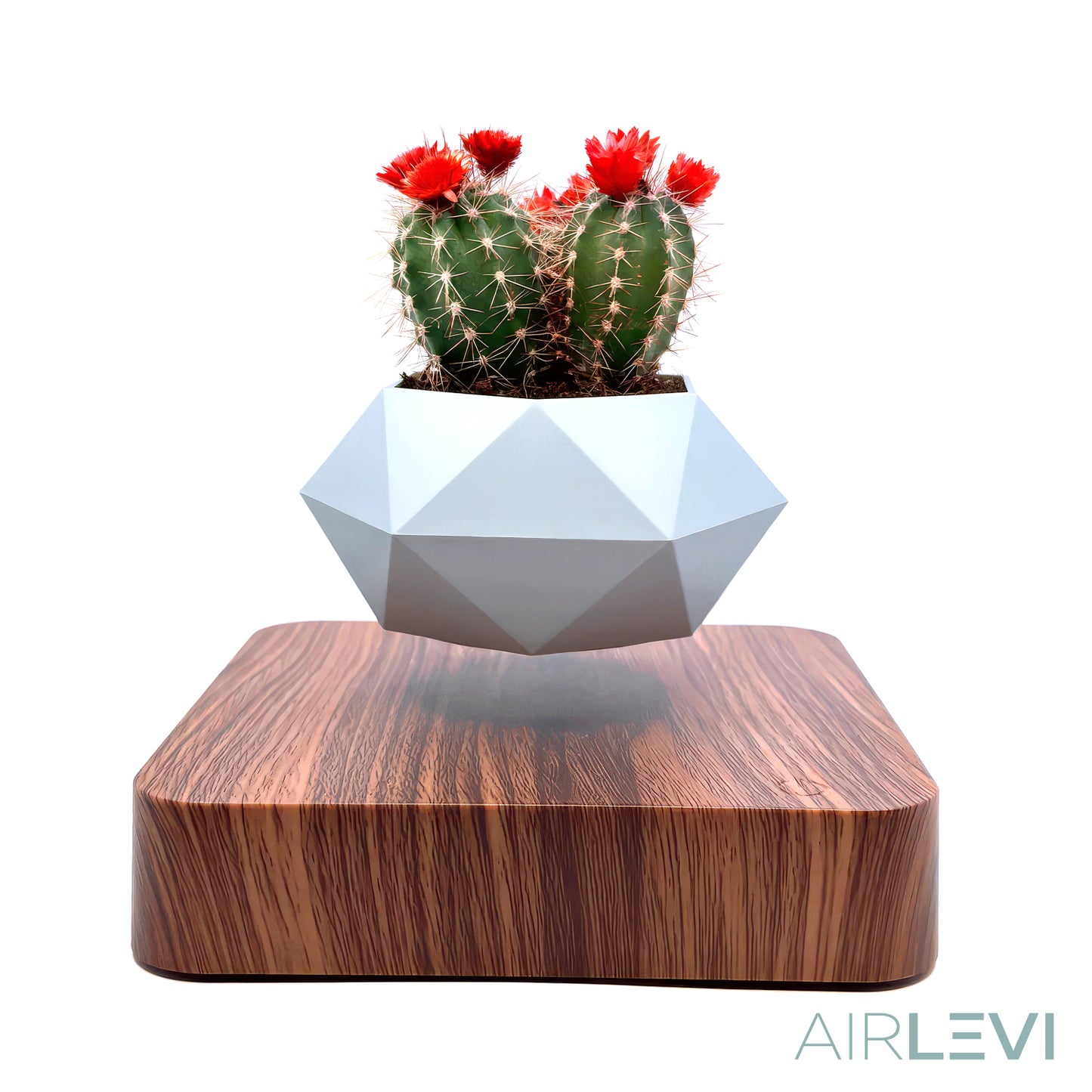 AirLevi™ Square Base Flying Bowl Dark Wood