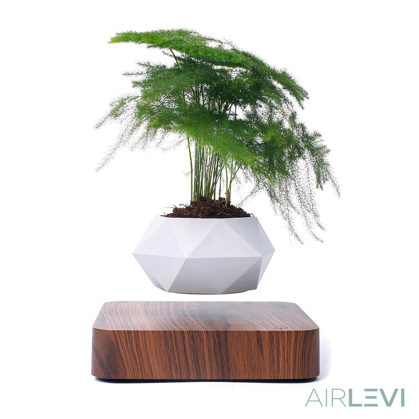 AirLevi™ Square Base Flying Bowl Dark Wood