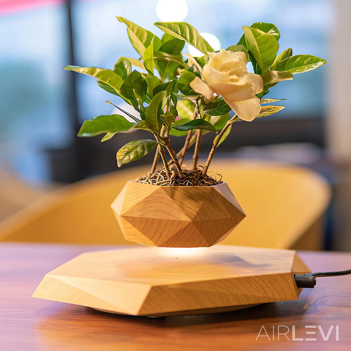 AirLevi™ Hexagon Base Flying Bowl Wood