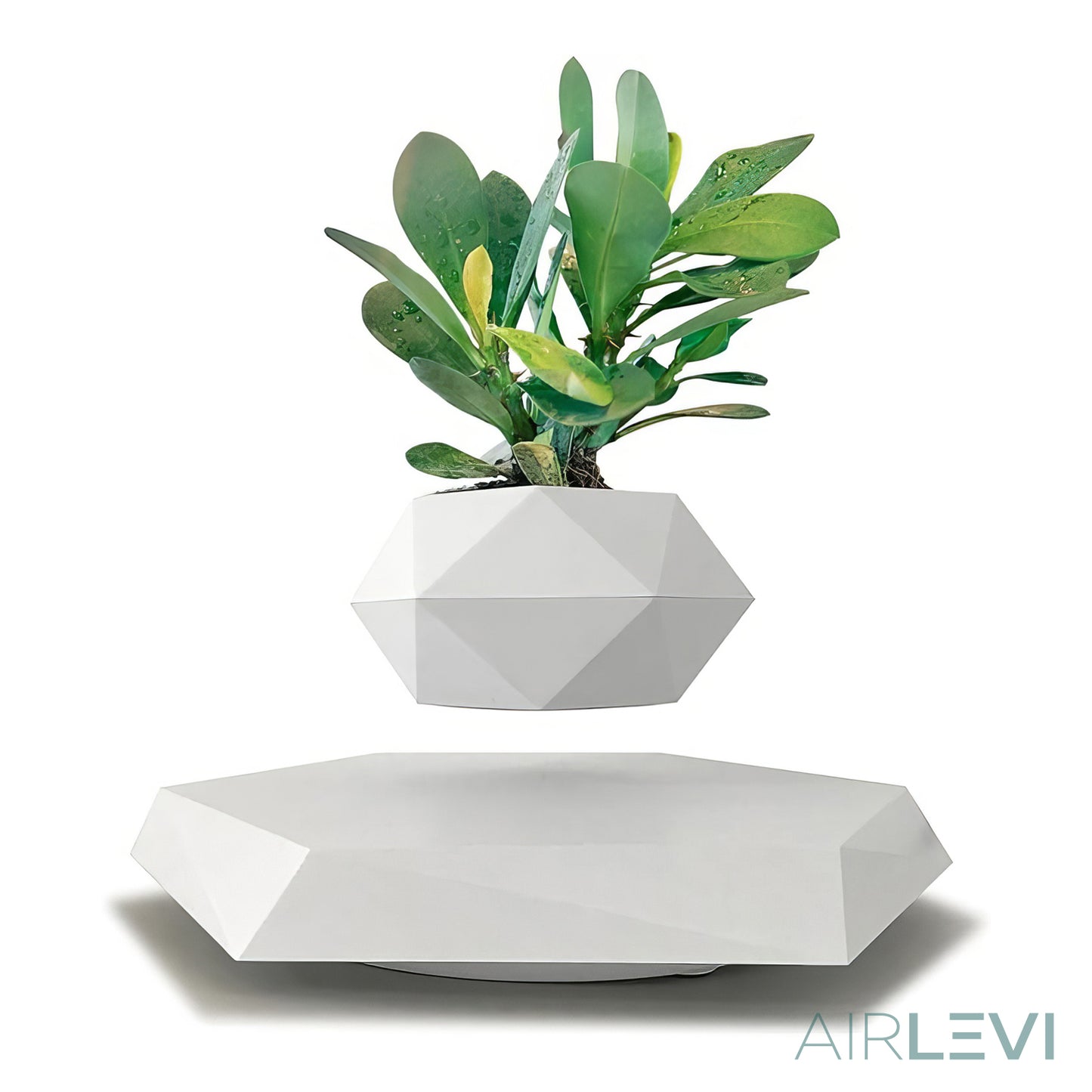 AirLevi™ Hexagon Base Flying Bowl White